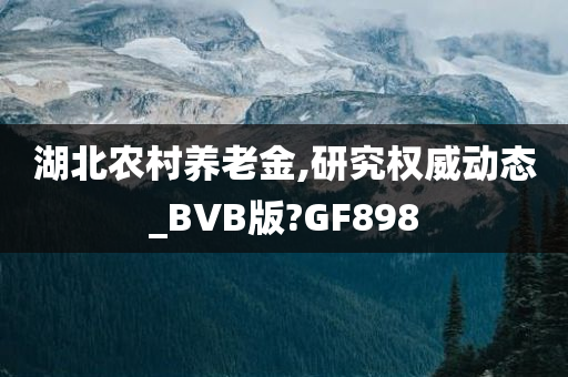 湖北农村养老金,研究权威动态_BVB版?GF898