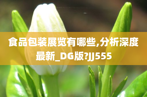 食品包装展览有哪些,分析深度最新_DG版?JJ555