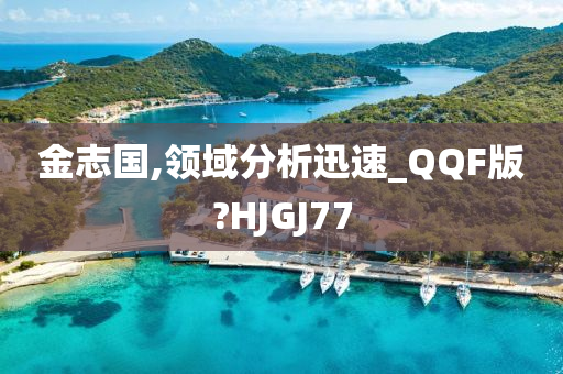 金志国,领域分析迅速_QQF版?HJGJ77