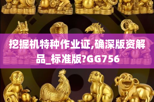 挖掘机特种作业证,确深版资解品_标准版?GG756