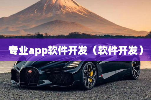 专业app软件开发（软件开发）