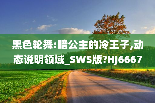 黑色轮舞:暗公主的冷王子,动态说明领域_SWS版?HJ6667