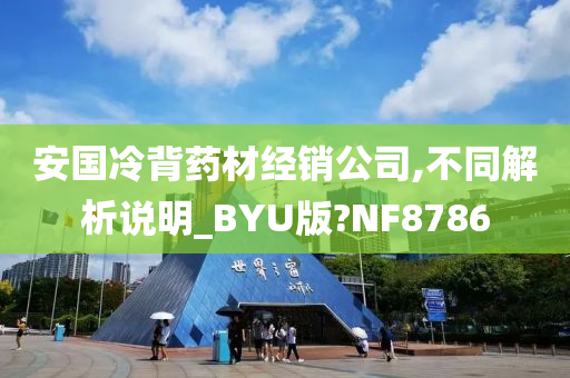 安国冷背药材经销公司,不同解析说明_BYU版?NF8786