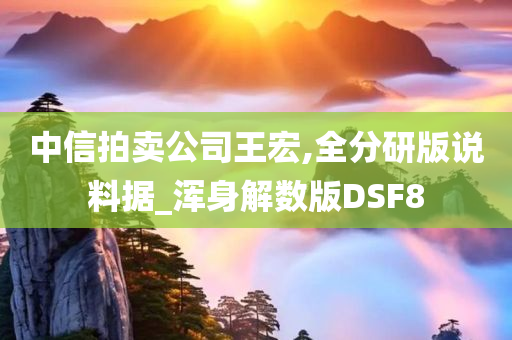 中信拍卖公司王宏,全分研版说料据_浑身解数版DSF8