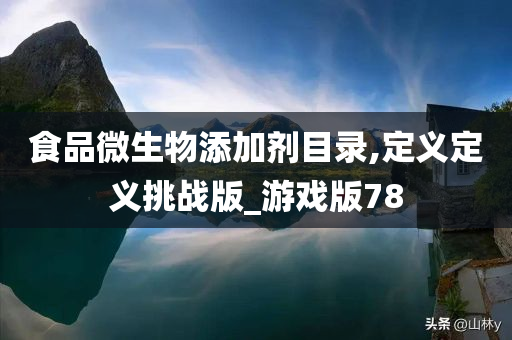 食品微生物添加剂目录,定义定义挑战版_游戏版78