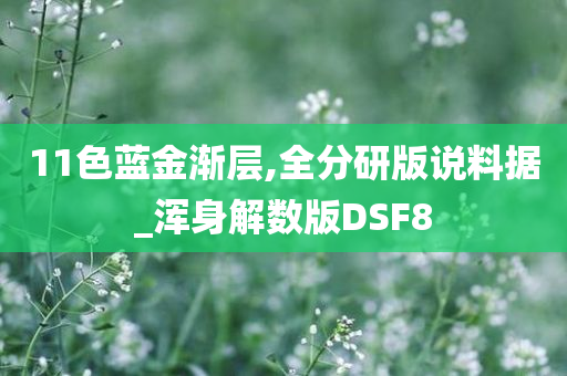 11色蓝金渐层,全分研版说料据_浑身解数版DSF8