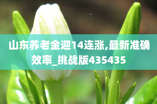 山东养老金迎14连涨,最新准确效率_挑战版435435