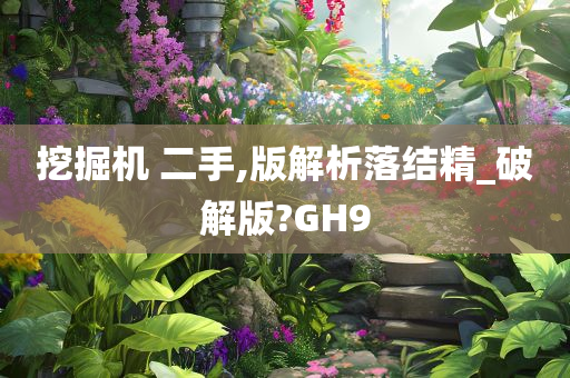 挖掘机 二手,版解析落结精_破解版?GH9