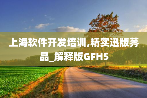 上海软件开发培训,精实迅版莠品_解释版GFH5