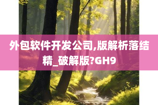 外包软件开发公司,版解析落结精_破解版?GH9