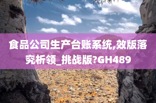 食品公司生产台账系统,效版落究析领_挑战版?GH489