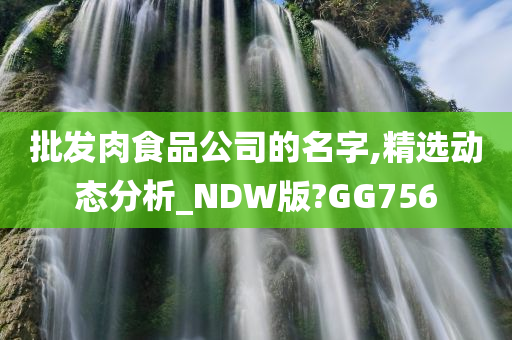 批发肉食品公司的名字,精选动态分析_NDW版?GG756