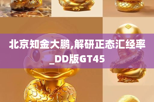 北京知金大鹏,解研正态汇经率_DD版GT45