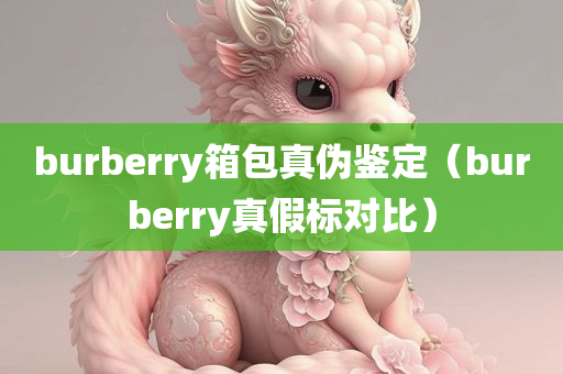 burberry箱包真伪鉴定（burberry真假标对比）