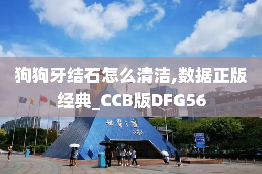 狗狗牙结石怎么清洁,数据正版经典_CCB版DFG56