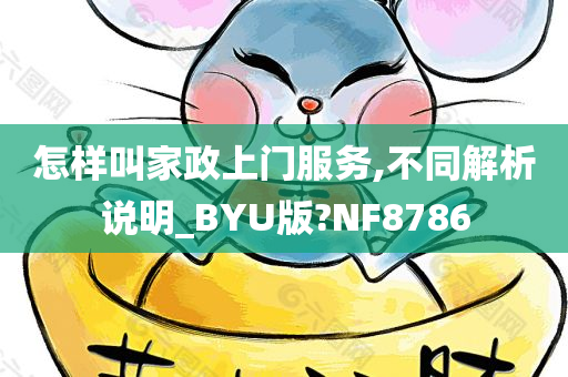 怎样叫家政上门服务,不同解析说明_BYU版?NF8786