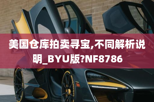 美国仓库拍卖寻宝,不同解析说明_BYU版?NF8786