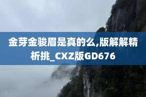 金芽金骏眉是真的么,版解解精析挑_CXZ版GD676