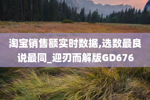 淘宝销售额实时数据,选数最良说最同_迎刃而解版GD676