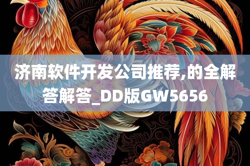 济南软件开发公司推荐,的全解答解答_DD版GW5656