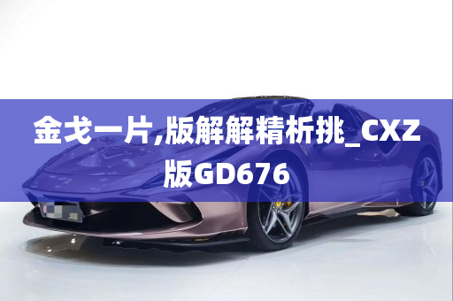 金戈一片,版解解精析挑_CXZ版GD676