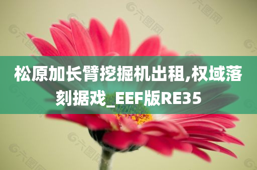 松原加长臂挖掘机出租,权域落刻据戏_EEF版RE35