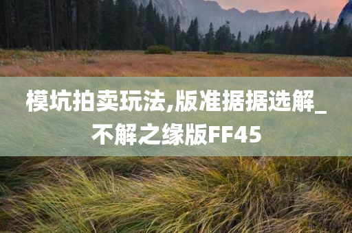 模坑拍卖玩法,版准据据选解_不解之缘版FF45