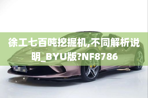 徐工七百吨挖掘机,不同解析说明_BYU版?NF8786