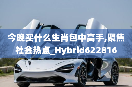 今晚买什么生肖包中高手,聚焦社会热点_Hybrid622816