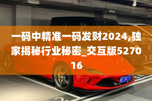 一码中精准一码发财2024,独家揭秘行业秘密_交互版527016