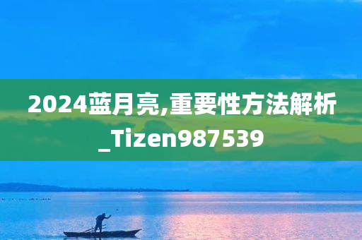 2024蓝月亮,重要性方法解析_Tizen987539