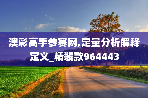 澳彩高手参赛网,定量分析解释定义_精装款964443