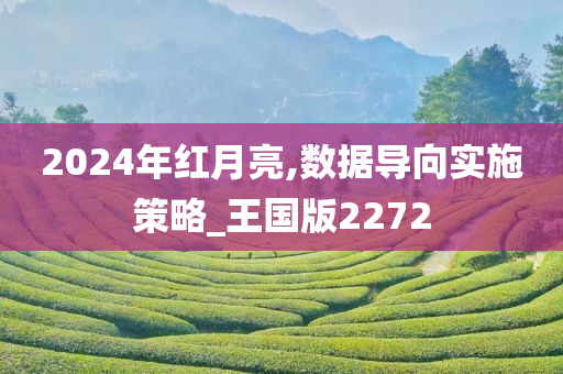 2024年红月亮,数据导向实施策略_王国版2272