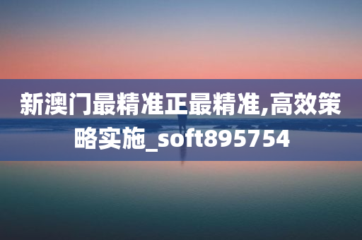 新澳门最精准正最精准,高效策略实施_soft895754