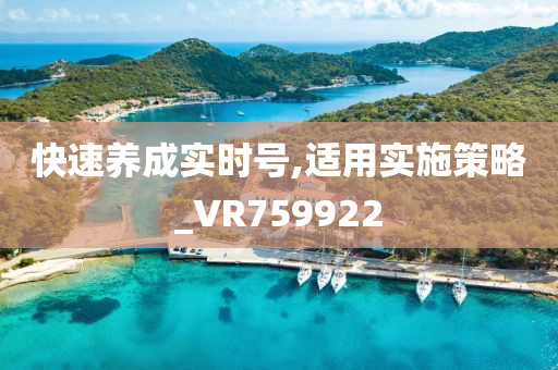 快速养成实时号,适用实施策略_VR759922