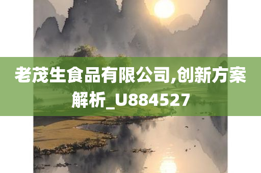 老茂生食品有限公司,创新方案解析_U884527