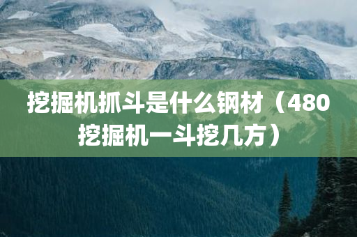 挖掘机抓斗是什么钢材（480挖掘机一斗挖几方）