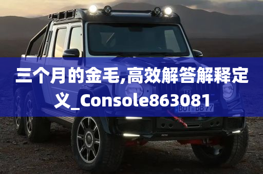 三个月的金毛,高效解答解释定义_Console863081