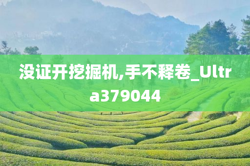 没证开挖掘机,手不释卷_Ultra379044