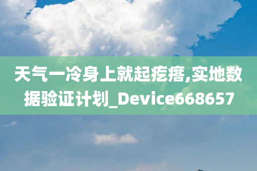 天气一冷身上就起疙瘩,实地数据验证计划_Device668657