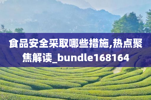 食品安全采取哪些措施,热点聚焦解读_bundle168164