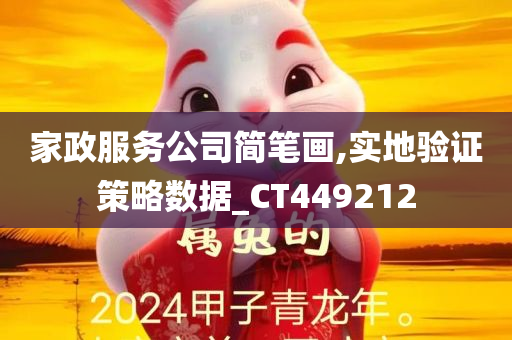 家政服务公司简笔画,实地验证策略数据_CT449212