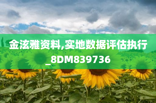 金泫雅资料,实地数据评估执行_8DM839736