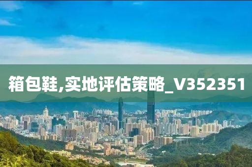 箱包鞋,实地评估策略_V352351