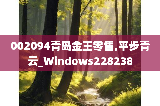 002094青岛金王零售,平步青云_Windows228238