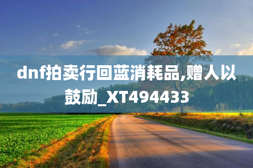 dnf拍卖行回蓝消耗品,赠人以鼓励_XT494433