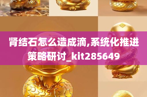 肾结石怎么造成滴,系统化推进策略研讨_kit285649