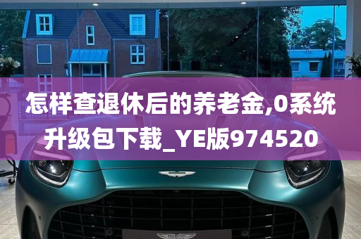 怎样查退休后的养老金,0系统升级包下载_YE版974520