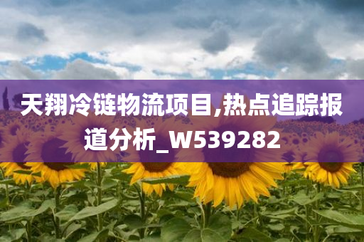 天翔冷链物流项目,热点追踪报道分析_W539282