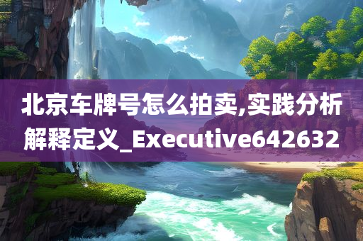 北京车牌号怎么拍卖,实践分析解释定义_Executive642632